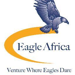 Eagle Africa is the Leading Provider of Financial and Risks Services Internationally.