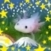 長らくクラウドサインの開発を担当してます。