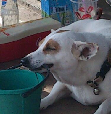 greenkitkat's profile picture. 二億円ほしい
山梨➡茨城➡山梨