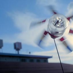 japi721's profile picture. 