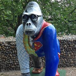 Aped_Crusader's profile picture. Journalist by day, crime fighting gorilla by night. Part of the @GoGoGorillas trail in Norwich. Come see me outside Archant on Rouen Road
