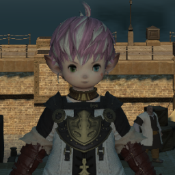 新生FF14クローズドβChocobo鯖で活動中です