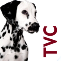 Towcester Vets (@towcestervets) 's Twitter Profile