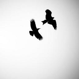 glbhrbngl's profile picture. hep çocuk kalsaydık masum , temiz ve saf olarak ...