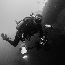 Photographer | Diver | Dad