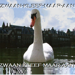 Zwaan_Kleef_Aan's profile picture. BURGERSAMENWERKINGSVERBAND ter behoud van IDENTITEIT, VRIJHEID EN SOEVEREINITEIT.