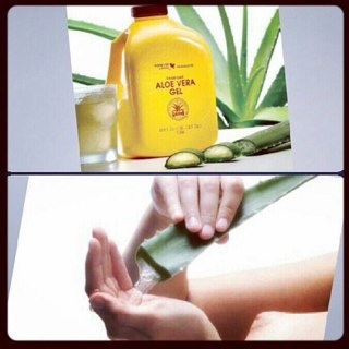 Providing you with the best in 'Forever Living Product.' Discover the beauty of Aloe Vera with Ever Bliss, direct message us for further details!! #EverBliss