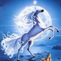 trueblueunicorn(@trueblueunicorn) 's Twitter Profile Photo