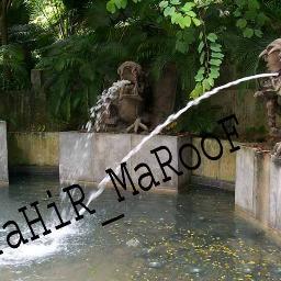 its all about Wana, sports info, news updates, general knowledge, 
help 03159656912