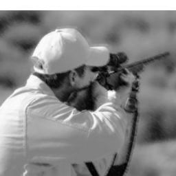 Hailing from Pennsylvania, this is Steven, a hunting enthusiast have uncovered the wild life beauty of the denses.