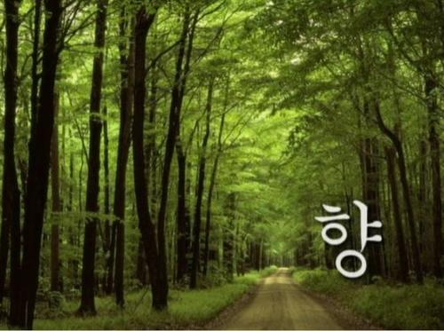 [AISFF FUND PROJECT 2013] '향' 공식 트위터 입니다. :)