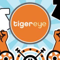 Tigereye Design helps Democrats and Unions raise much needed funds from grassroots supporters.