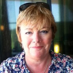 An HR/L&D professional - basically just a decent human being that is motivated by making a difference. If I offend anyone on here it is surely accidental ...