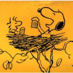 Snoopy, Disney, Star Trek, Star Wars, Marvel, Transformers! Vote Blue every single time.