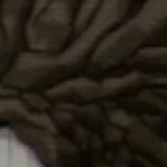 ………………………………………………………………