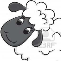 Official Twitter acount for Team Sheep! Starting to weave the web of friendship with MA Rainbow! @MASSIORG