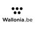 Wallonia.BE (@wallonia_be) Twitter profile photo Wallonia.BE (@wallonia_be) Twitter profile photo