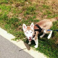 Kevin Wagner (@kev_wagner) 's Twitter Profile