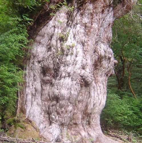 人間の体について研究中
人間の心は身体に現れると思う。
元々一つの細胞から出来ている。
個人経営、動画編集者