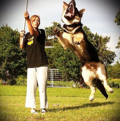 Sbarnes01's profile picture. 