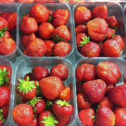 Specialist of Fruits and Vegetables. Offices in Spain Murcia, France Perpignan and North of France, Belgium Roeslare FLANDRIA