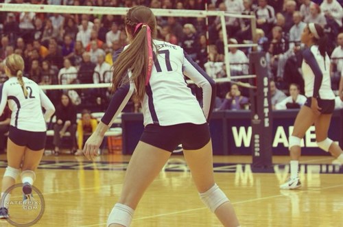 Follow your volleyball dreams , and you will reach your volleyball goal.