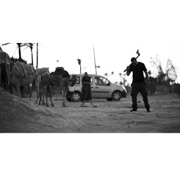 _briangregory's profile picture. Director, sharpshooter.