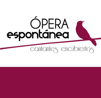 Somos una compañía que a través de la incorporación sorpresiva de los intérpretes en la dinámica de un evento acercamos el bel canto y las artes escénicas.