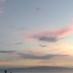 Aloha Maui (@alohamauinui) Twitter profile photo