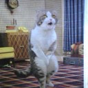 Sh00tingninja - @ethan_rayburn4 - Twitter