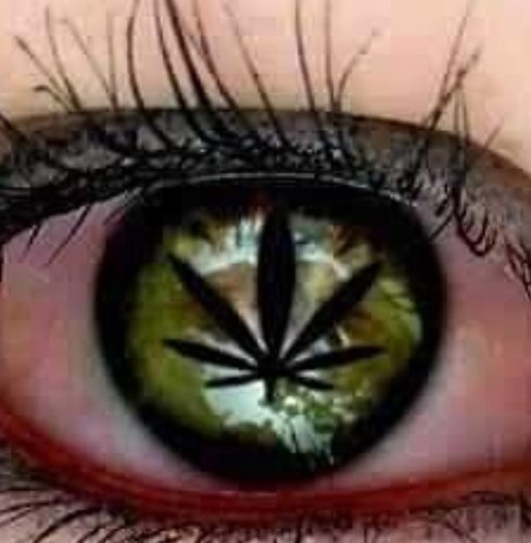 Let's get Baked!!✨ You Follow Me ✨... I'll follow you!