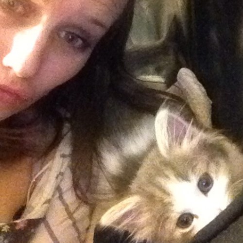 ZFotheringham's profile picture. Hi..