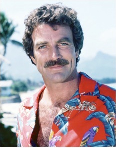 YorkieSenior's profile picture. Plenty of Administration and Banter, Never Together but Always Witty and timed to perfection.