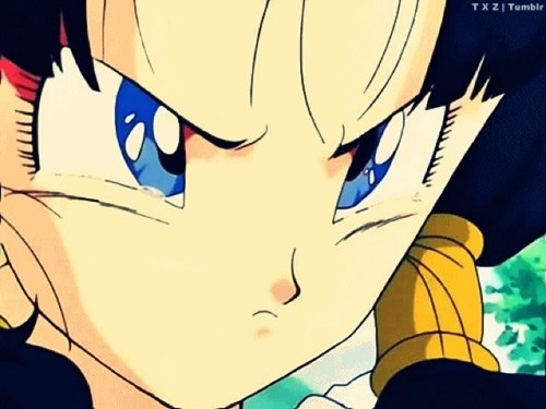 Hey! I'm Videl! I am a vision of normality and peace in a world distroyed by androids! [RolePlay]