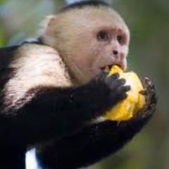 AmazingMath's profile picture. 