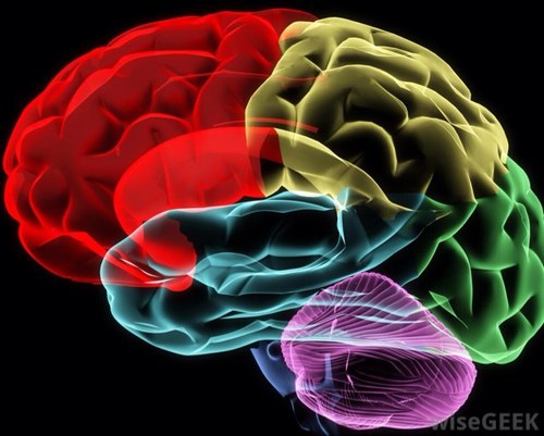 Neuroscientist 🇪🇺 #HumanRights #FreeAfghanFemaleJudges #LetAfghanGirlsLearn #Indigenous ppls rights & recognition define me @karenb.bsky.social