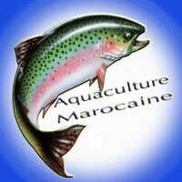 AquacultureMarocaine (@aquamarocaine) Twitter profile photo