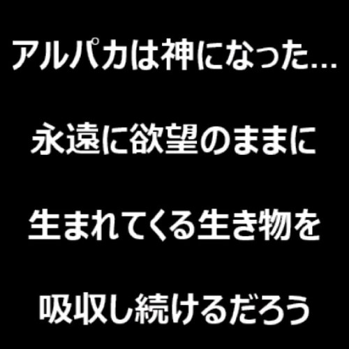 おはこんにちばんわ！ 単なる暇猫です