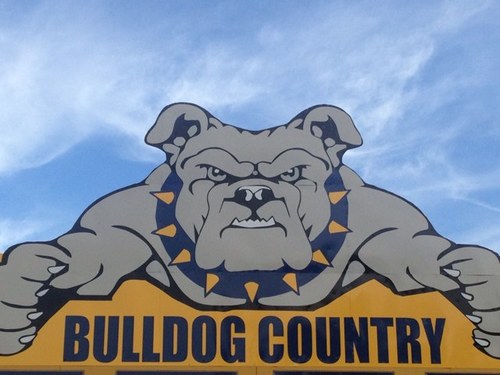 PBulldogBooster Profile Picture
