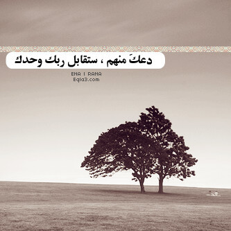 ملكة الرتويت