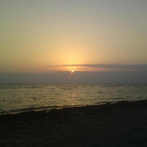 SoosGmail's profile picture. 