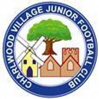 Charlwood Village JFC (@cv_jfc) 's Twitter Profile