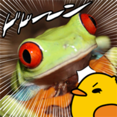 カエル図鑑 Lineスタンプ発売中 Momodog22 カエル大きさ比べ オタマからカエルになったばかりの 右がトノサマガエル 左がアマガエル 12年7月撮影 Http T Co Tkquup0omn か かわいい D
