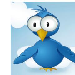 bobbobbob86's profile picture. talk to me about feathers, and flavors that are not vanilla. love baseball and the red sox.