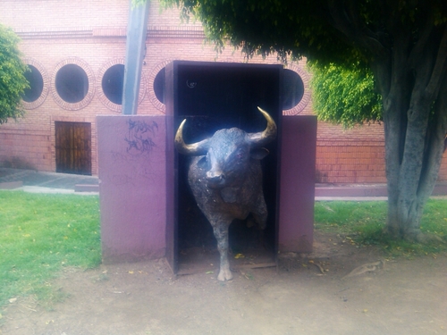vouyer quiere ver damas hermosas en sus poses mas cachondas