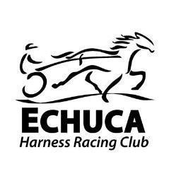 echucatrots's profile picture. 