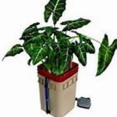 Mr. Hydroponics sells a large variety of hydroponics gardening equipment as well as traditional gardening supplies for indoor and out door cultivation.