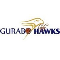 Gurabo Lady Hawks (@gurabobsnf) 's Twitter Profile