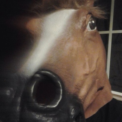FakingHorse's profile picture. Hay