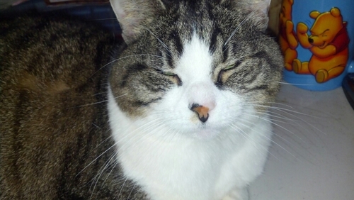 b3cky's profile picture. Christian. Wife. Patriot. Animal lover. Jewelry maker.